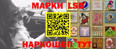 гидропоника Можга