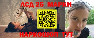 гидропоника Можга
