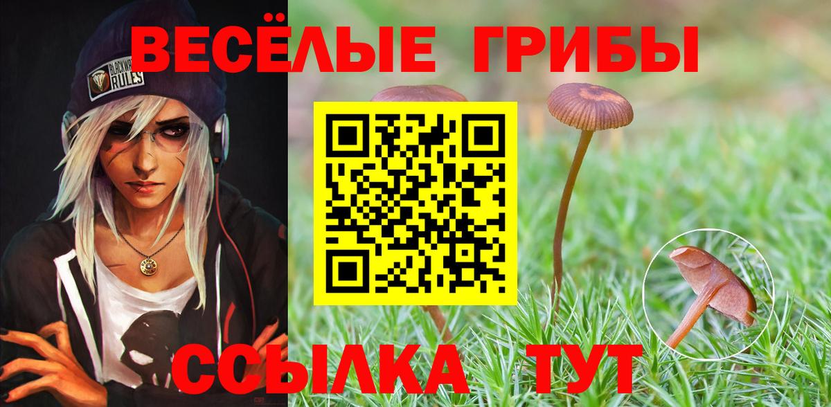 Галлюциногенные грибы GOLDEN TEACHER Удомля