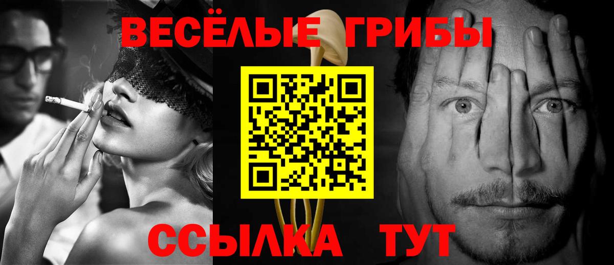 Галлюциногенные грибы Magic Shrooms  Вход с VPN  Псилоцибиновые грибы Psilocybe  Удомля 